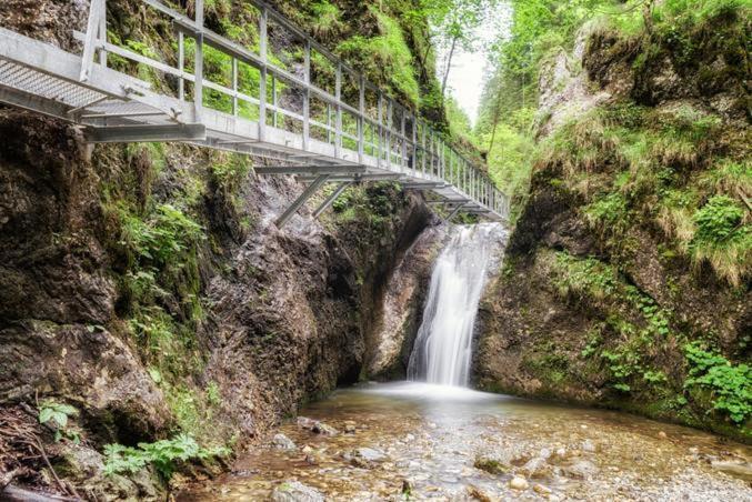 Park Borik 4You & Free Parking Zilina Bagian luar foto